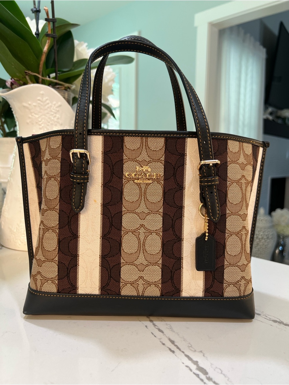 Coach Brown & Cream Signature Jacquard Striped Canvas Tote Leather Trim